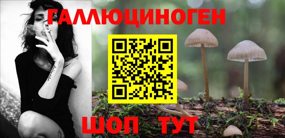 Галлюциногенные грибы Cubensis Большой Камень