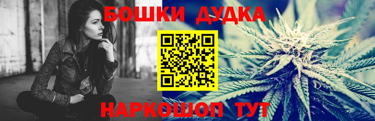 Канабис планчик Большой Камень