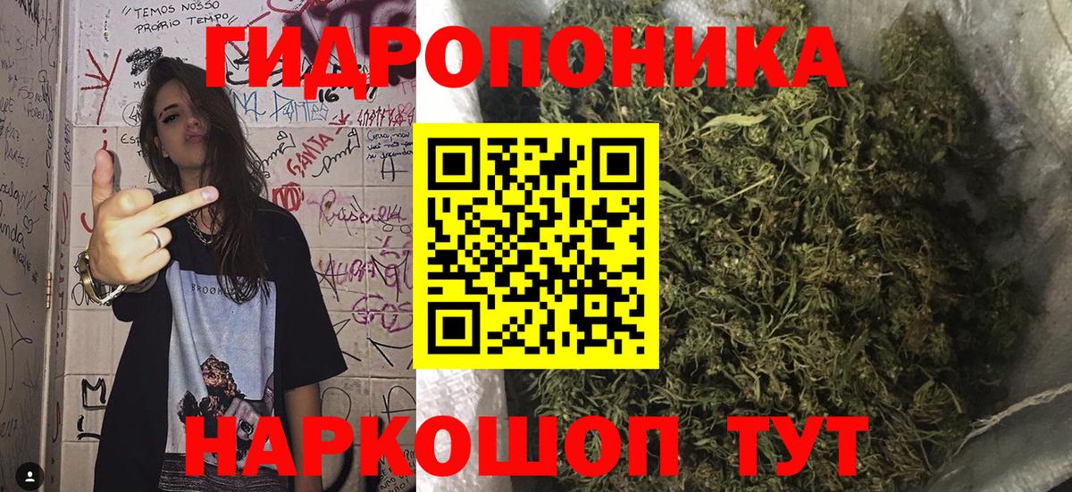 Каннабис OG Kush  Бошки Шишки тримм  Вход с VPN  Большой Камень 